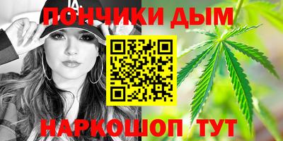 PSILOCYBIN Гатчина