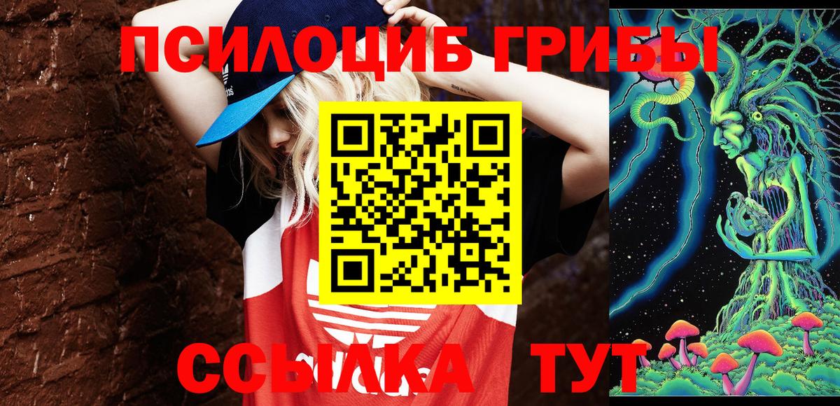 Мытищи  Псилоцибиновые грибы GOLDEN TEACHER  Вход с VPN 
