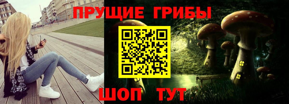 Галлюциногенные грибы Cubensis Мытищи